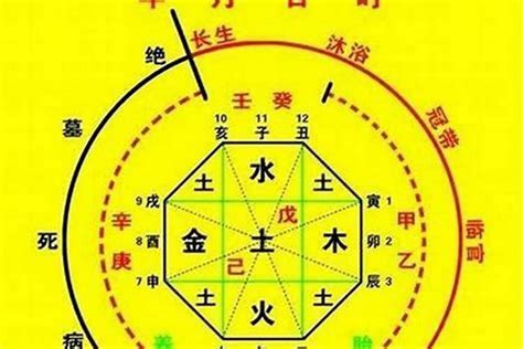 五行喜用|八字入门基础 第六篇 如何判断八字喜用神